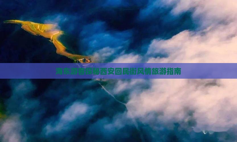 海东游客探秘西安回民街风情旅游指南
