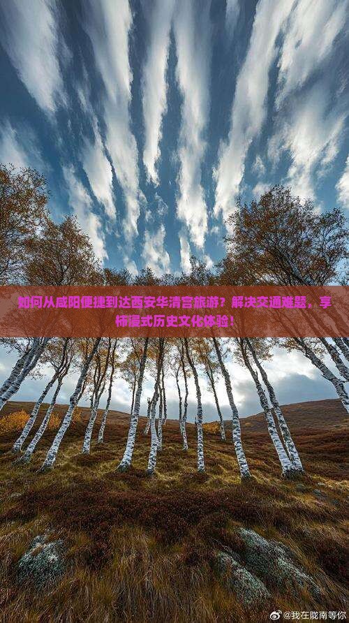 如何从咸阳便捷到达西安华清宫旅游？解决交通难题，享柿浸式历史文化体验！