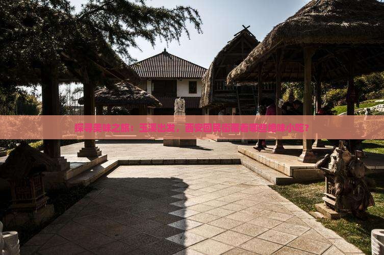 探寻美味之旅：玉溪出发，西安回民街藏着哪些绝味小吃？