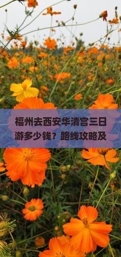福州去西安华清宫三日游多少钱？路线攻略及五日游旅游团报价