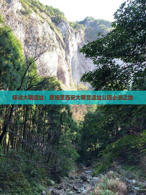 探访大明遗址：恩施至西安大明宫遗址公园必游之地