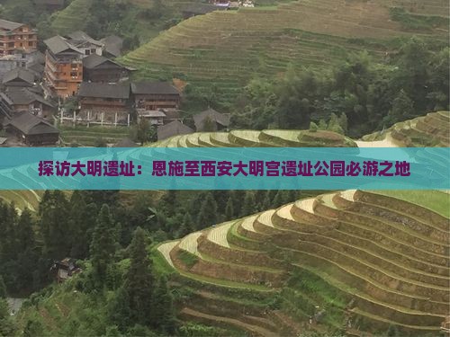 探访大明遗址：恩施至西安大明宫遗址公园必游之地