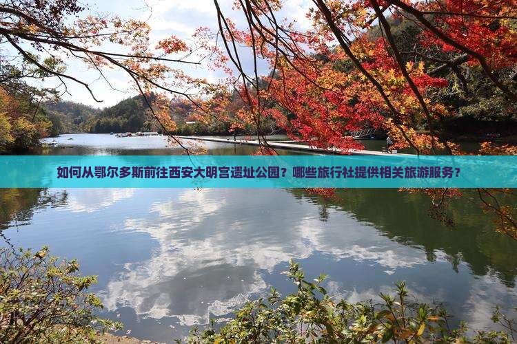 如何从鄂尔多斯前往西安大明宫遗址公园？哪些旅行社提供相关旅游服务？
