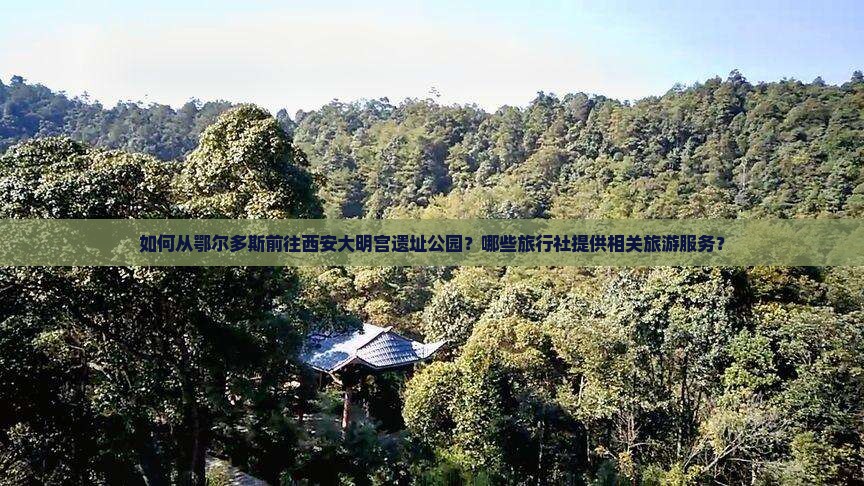 如何从鄂尔多斯前往西安大明宫遗址公园？哪些旅行社提供相关旅游服务？