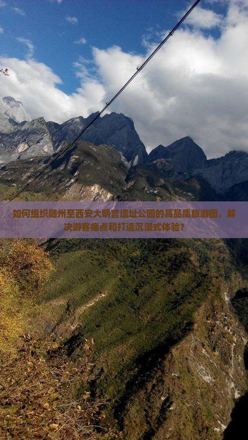 如何组织随州至西安大明宫遗址公园的高品质旅游团，解决游客痛点和打造沉浸式体验？