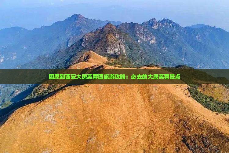 固原到西安大唐芙蓉园旅游攻略：必去的大唐芙蓉景点