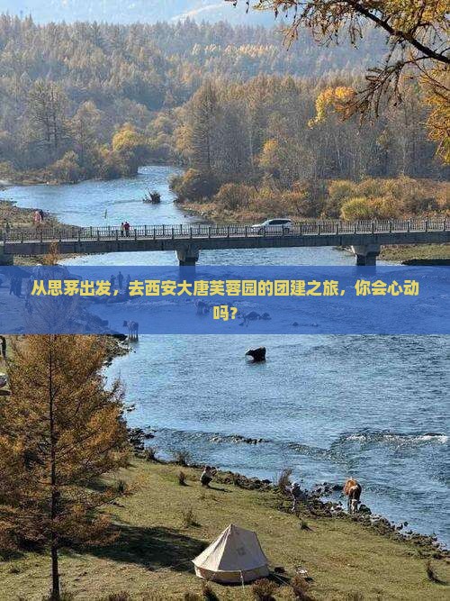 从思茅出发，去西安大唐芙蓉园的团建之旅，你会心动吗？