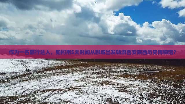 作为一名旅行达人，如何用5天时间从聊城出发畅游西安陕西历史博物馆？