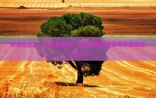 从绥化出发，七天能去哪？我的朋友在西安等你来探秘华清宫！