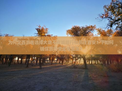 为何定西游客选择大唐不夜城旅行社前往西安？下如何确保旅行安全与品质？