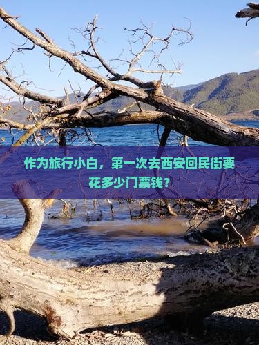作为旅行小白，第一次去西安回民街要花多少门票钱？