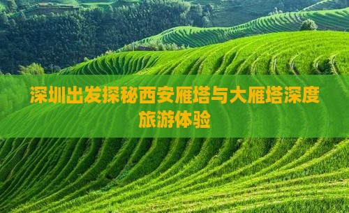 深圳出发探秘西安雁塔与大雁塔深度旅游体验