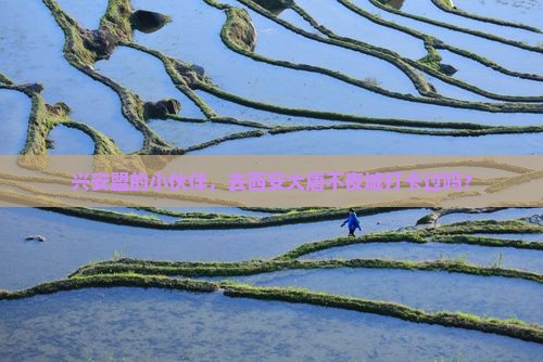 兴安盟的小伙伴，去西安大唐不夜城打卡过吗？