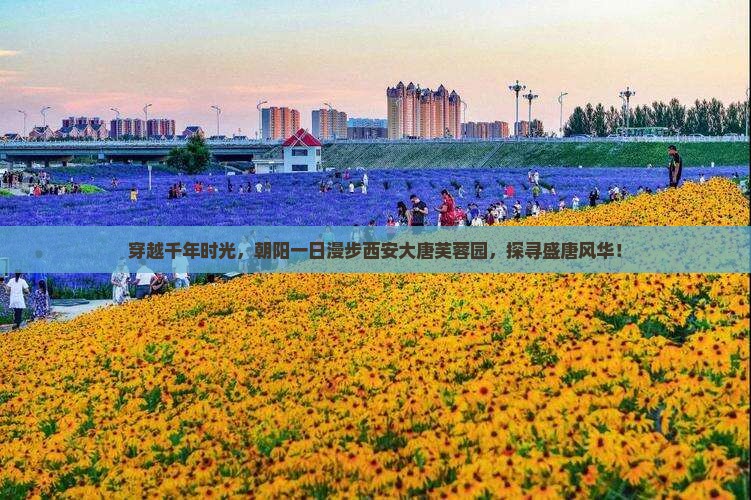 穿越千年时光，朝阳一日漫步西安大唐芙蓉园，探寻盛唐风华！