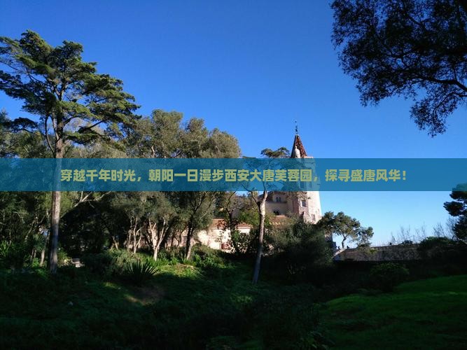 穿越千年时光，朝阳一日漫步西安大唐芙蓉园，探寻盛唐风华！