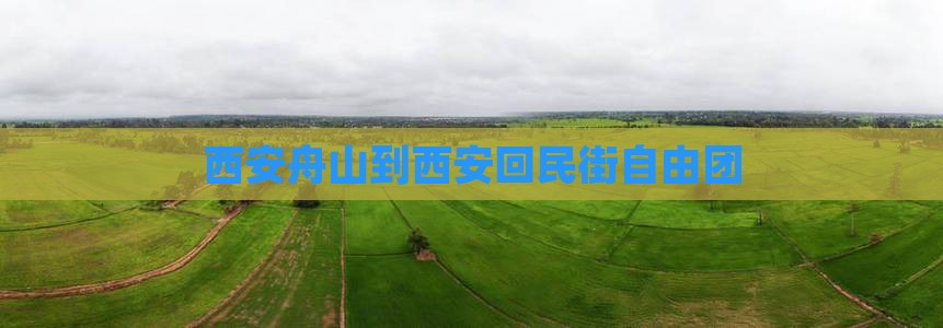西安舟山到西安回民街自由团