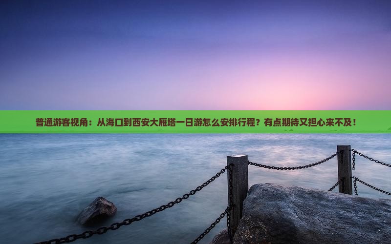 普通游客视角：从海口到西安大雁塔一日游怎么安排行程？有点期待又担心来不及！