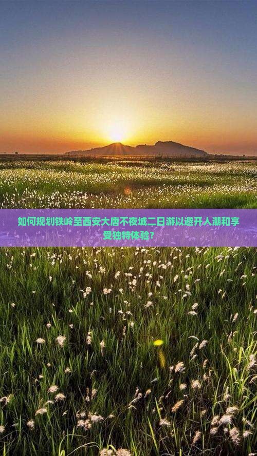 如何规划铁岭至西安大唐不夜城二日游以避开人潮和享受独特体验？