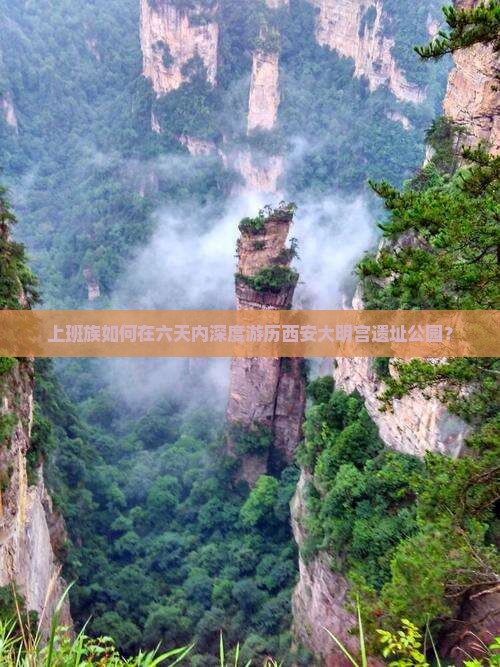上班族如何在六天内深度游历西安大明宫遗址公园？