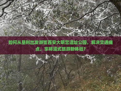 如何从垦利出发游览西安大明宫遗址公园，解决交通痛点，享柿浸式旅游新体验？