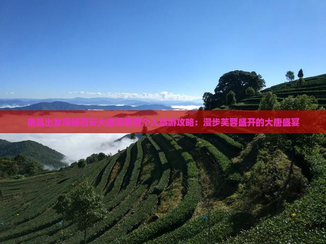 南昌出发探秘西安大唐芙蓉园个人旅游攻略：漫步芙蓉盛开的大唐盛宴