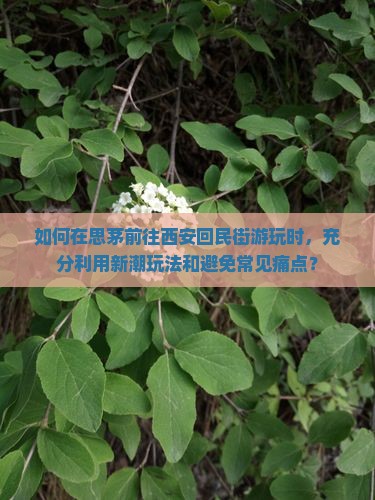 如何在思茅前往西安回民街游玩时，充分利用新潮玩法和避免常见痛点？