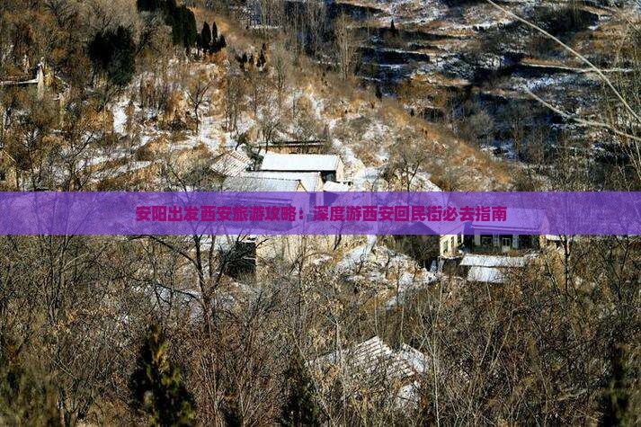 安阳出发西安旅游攻略：深度游西安回民街必去指南