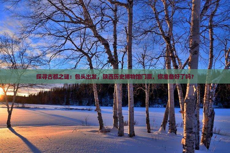 探寻古都之谜：包头出发，陕西历史博物馆门票，你准备好了吗？