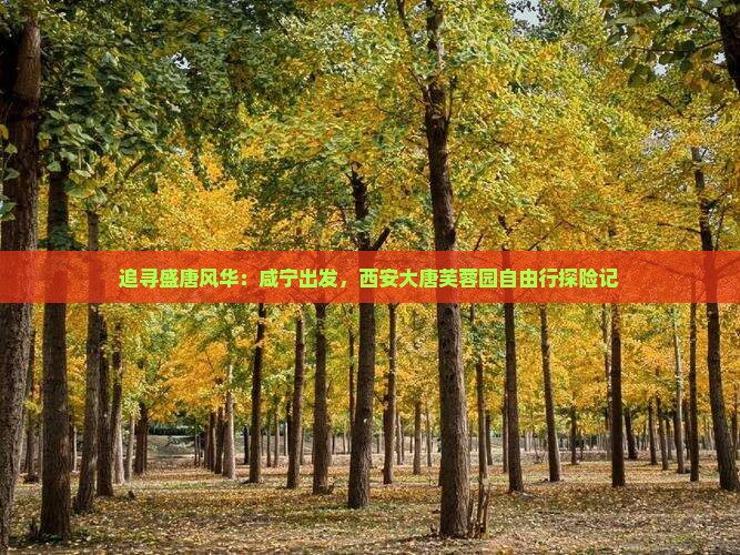 追寻盛唐风华：咸宁出发，西安大唐芙蓉园自由行探险记