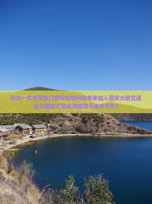 作为一名资深旅行爱好宅如何在冬季加入西安大明宫遗址公园的大型旅游团而不迷失方向？