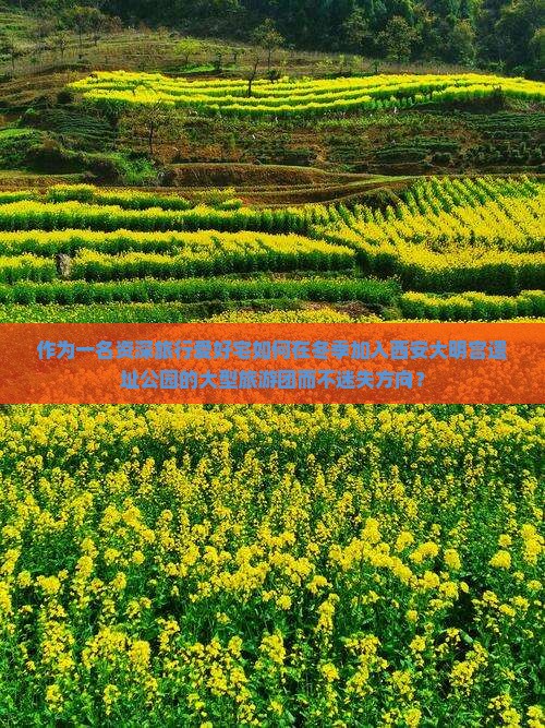 作为一名资深旅行爱好宅如何在冬季加入西安大明宫遗址公园的大型旅游团而不迷失方向？