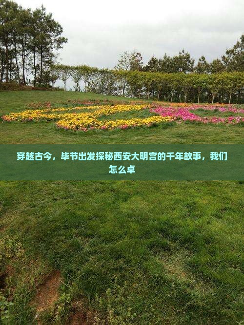 穿越古今，毕节出发探秘西安大明宫的千年故事，我们怎么卓
