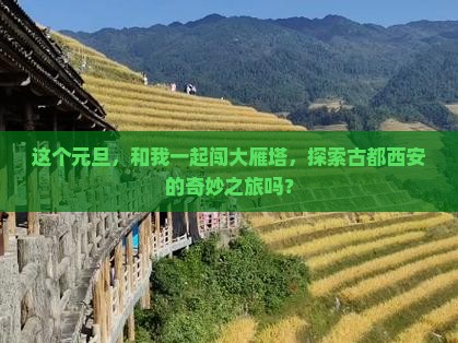 这个元旦，和我一起闯大雁塔，探索古都西安的奇妙之旅吗？