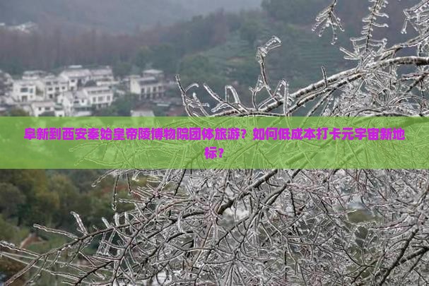 阜新到西安秦始皇帝陵博物院团体旅游？如何低成本打卡元宇宙新地标？