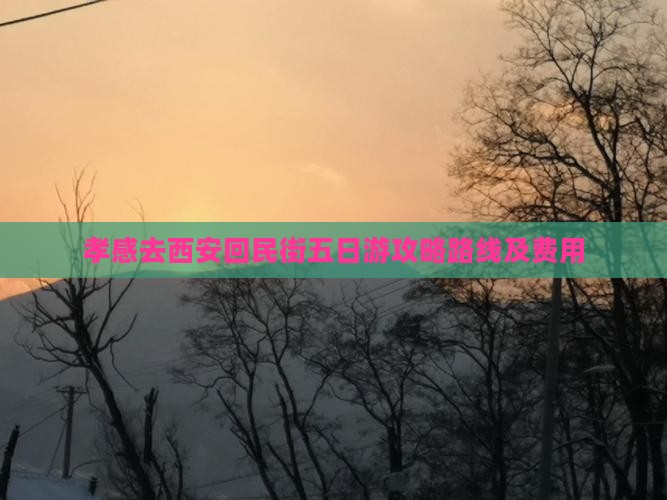 孝感去西安回民街五日游攻略路线及费用