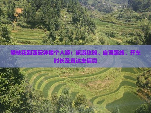 攀枝花到西安钟楼个人游：旅游攻略、自驾路线、开车时长及直达车信息