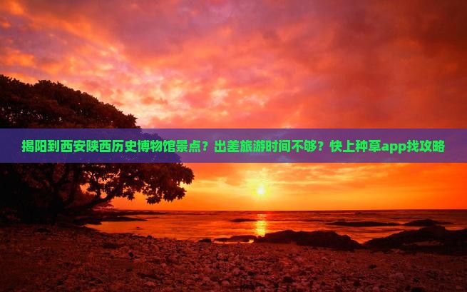 揭阳到西安陕西历史博物馆景点？出差旅游时间不够？快上种草app找攻略