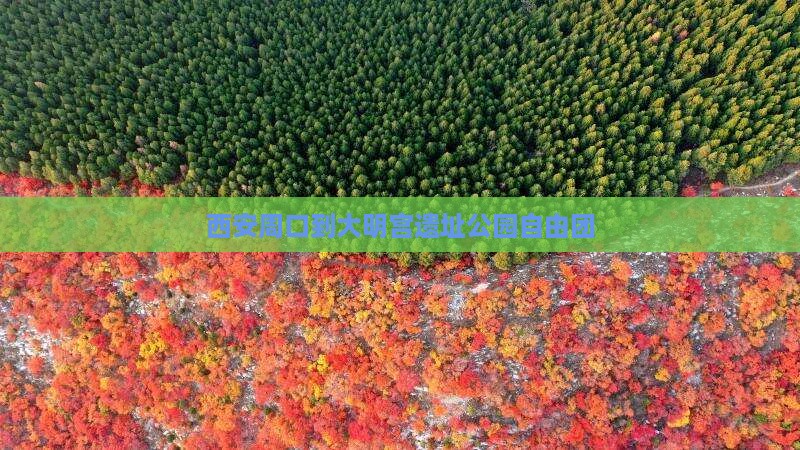 西安周口到大明宫遗址公园自由团