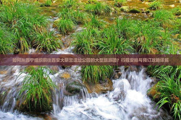 如何从西宁组织前往西安大明宫遗址公园的大型旅游团？行程安排与预订攻略详解
