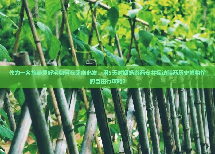 作为一名旅游爱好宅如何在阳泉出发，用5天时间畅游西安并探访陕西历史博物馆的自由行攻略？