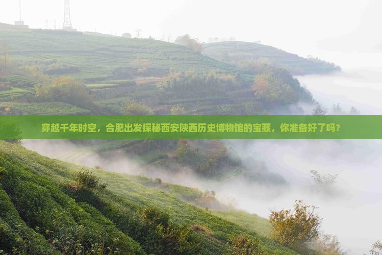 穿越千年时空，合肥出发探秘西安陕西历史博物馆的宝藏，你准备好了吗？