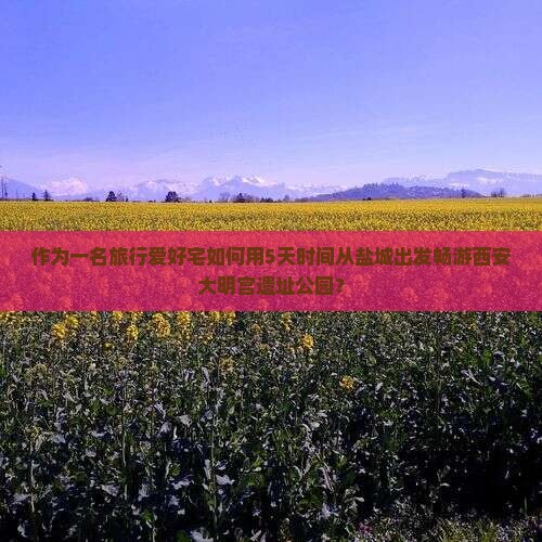 作为一名旅行爱好宅如何用5天时间从盐城出发畅游西安大明宫遗址公园？