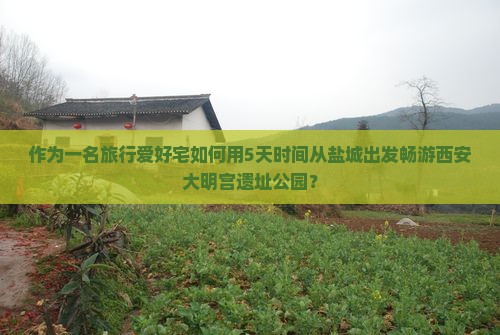 作为一名旅行爱好宅如何用5天时间从盐城出发畅游西安大明宫遗址公园？