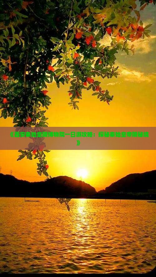 塔城到西安秦始皇帝陵博物院一日游