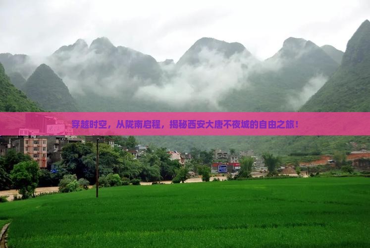 陇南到西安大唐不夜城自由团