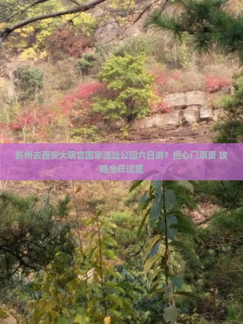 苏州去西安大明宫国家遗址公园六日游