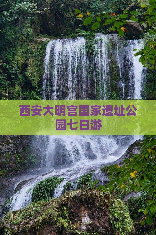 黄南到西安大明宫国家遗址公园七日游