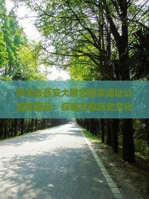 珠海去西安大明宫国家遗址公园哪里玩