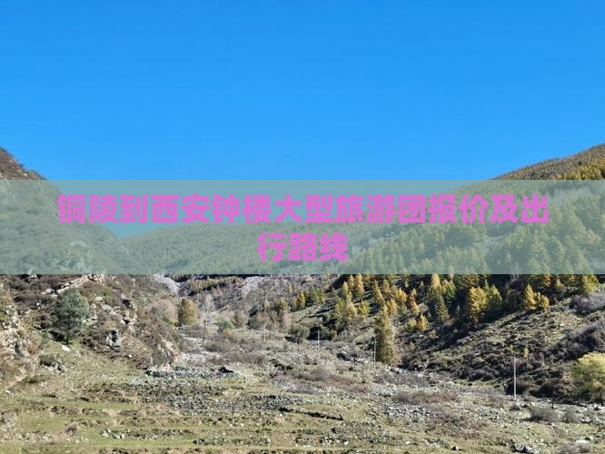 铜陵到西安钟楼大型旅游团