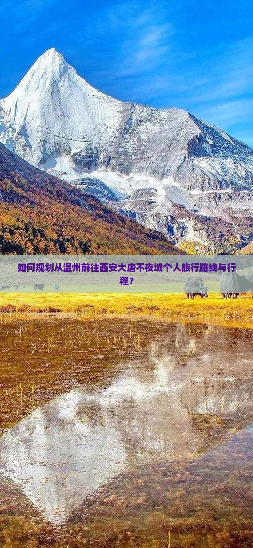 温州到西安大唐不夜城个人游